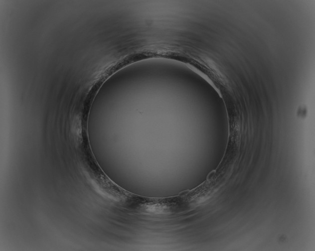 X0000093610500200710221610
