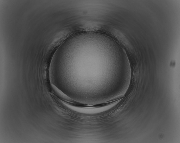 X0000093610501200710221610