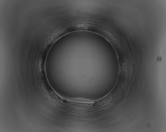 X0000093610504200710221610