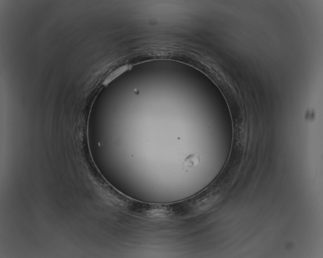 X0000093610505200710221610