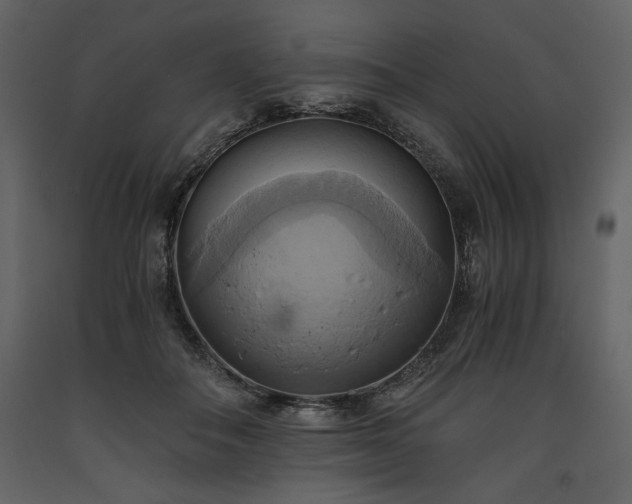 X0000093610506200710221610