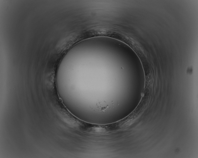 X0000093610509200710221610