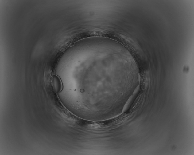 X0000093610511200710221610