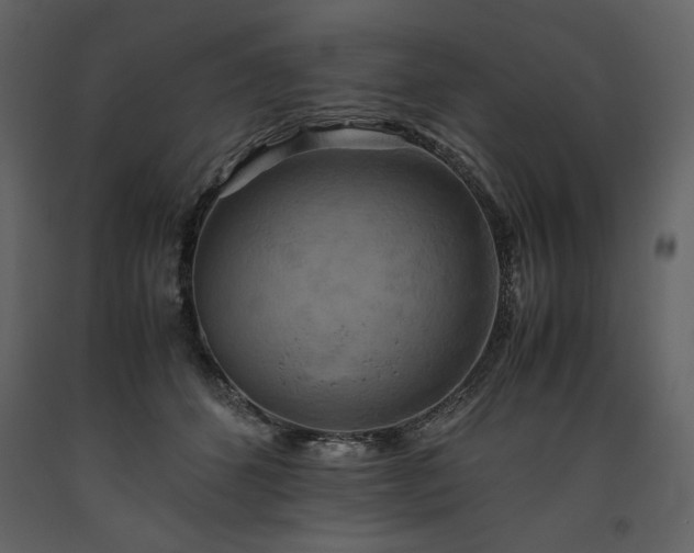 X0000093610512200710221610