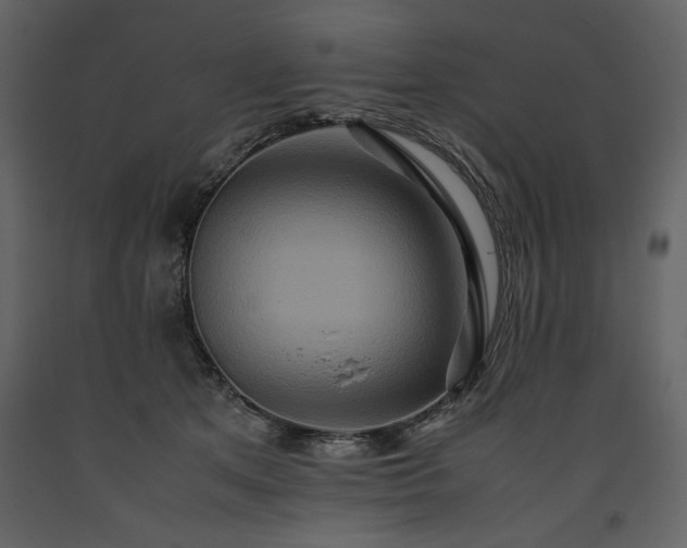 X0000093610513200710221610