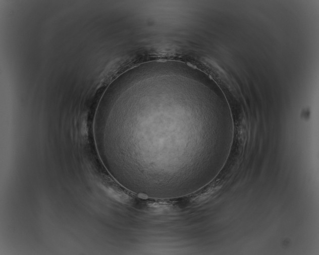 X0000093610516200710221610