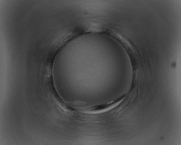 X0000093610517200710221610