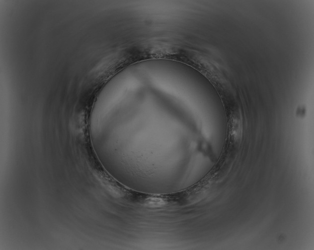 X0000093610519200710221610