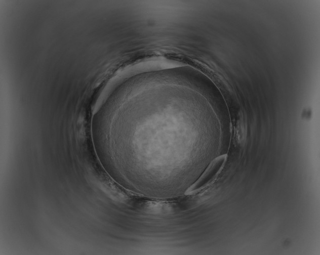 X0000093610520200710221609