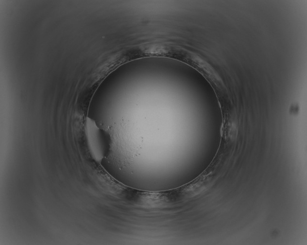 X0000093610521200710221609