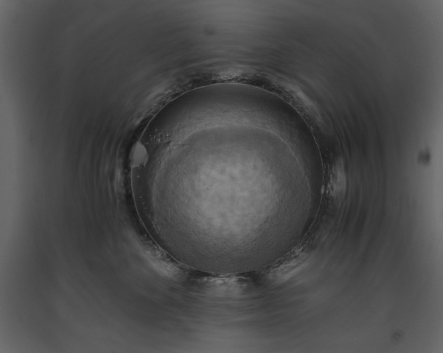 X0000093610524200710221609