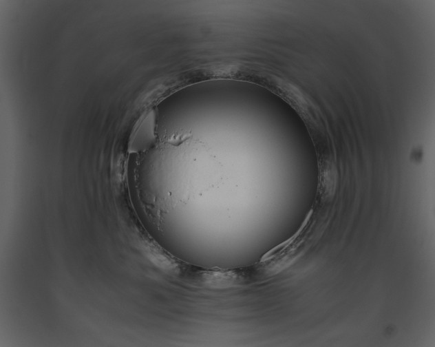 X0000093610525200710221609