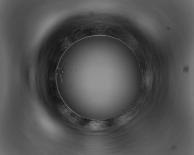 X0000093610526200710221609