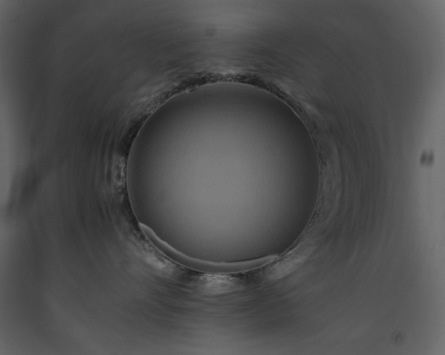 X0000093610528200710221609