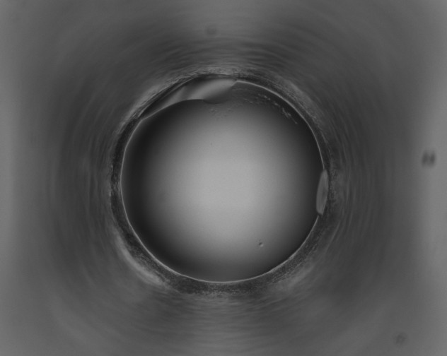 X0000093610530200710221609