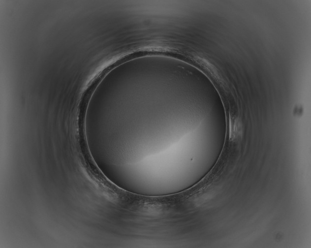 X0000093610531200710221609