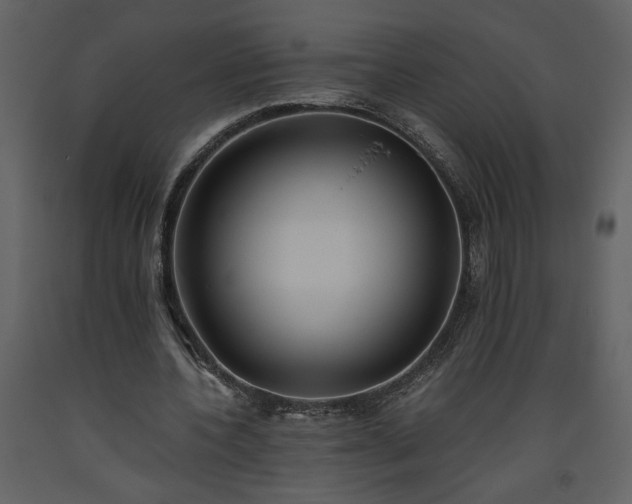 X0000093610532200710221609