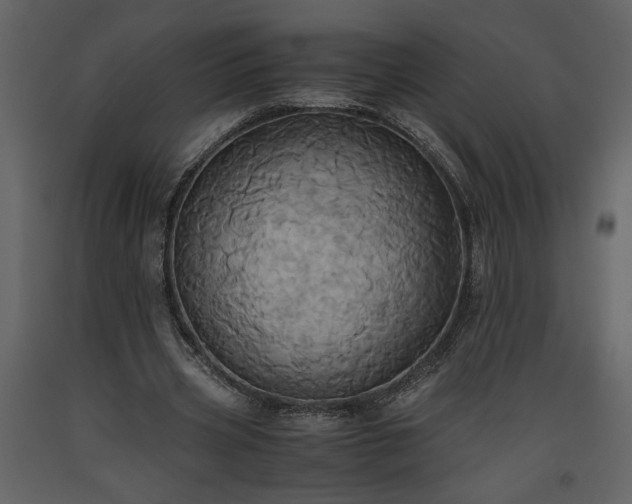 X0000093610533200710221609