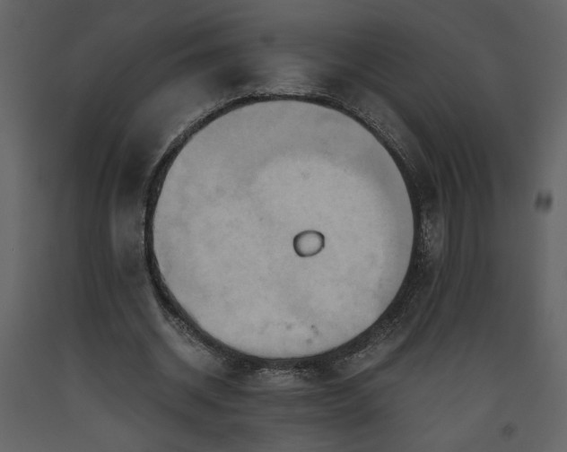 X0000093610534200710221609