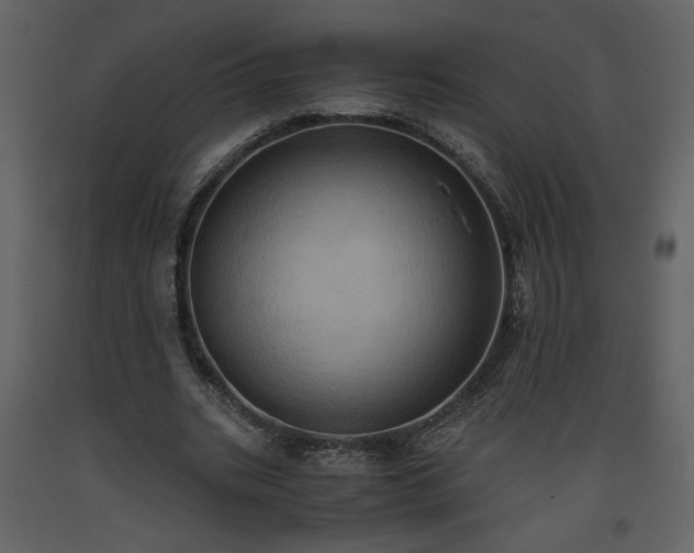 X0000093610535200710221609