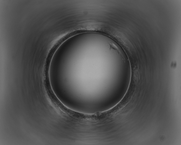 X0000093610536200710221609