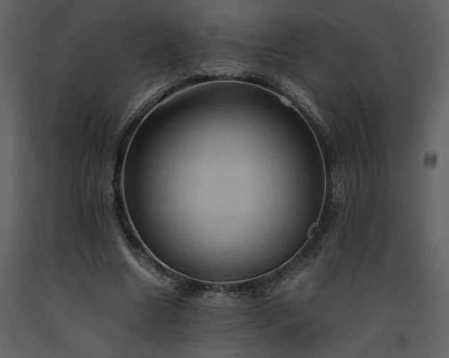 X0000093610538200710221609