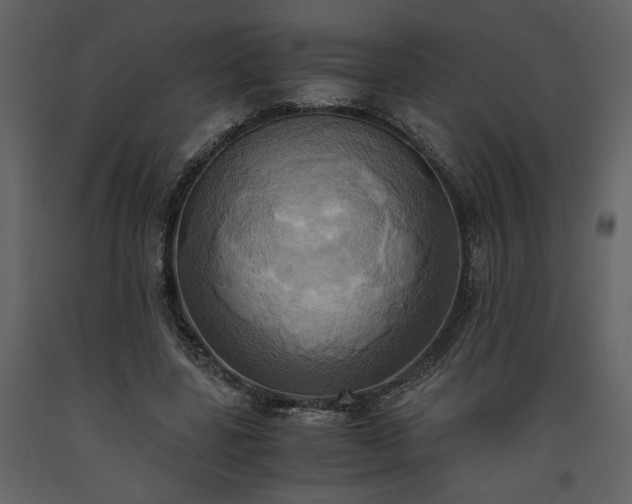 X0000093610539200710221609