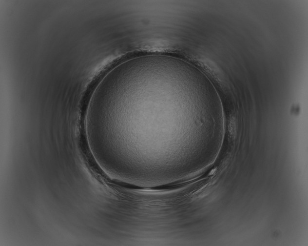 X0000093610540200710221609