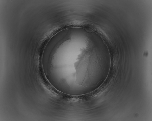 X0000093610542200710221609