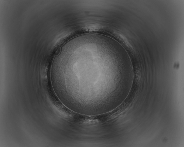X0000093610543200710221609