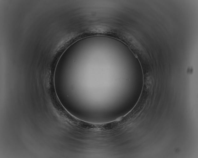 X0000093610544200710221609