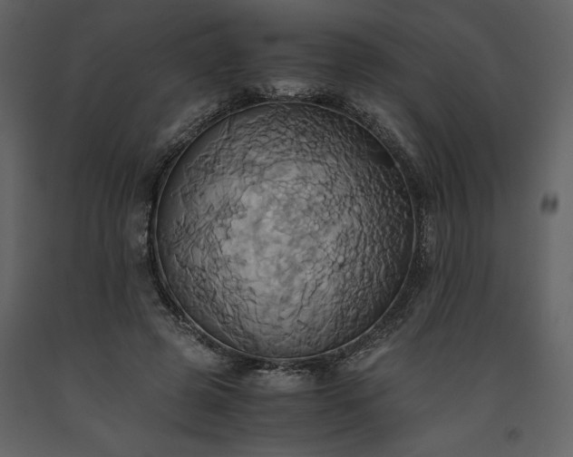 X0000093610545200710221609