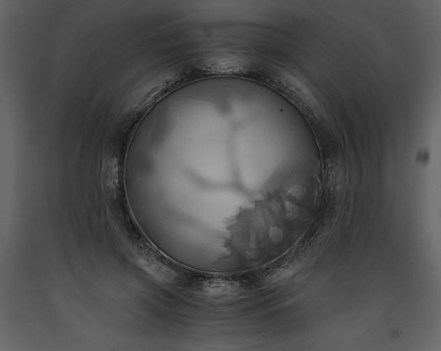X0000093610549200710221609