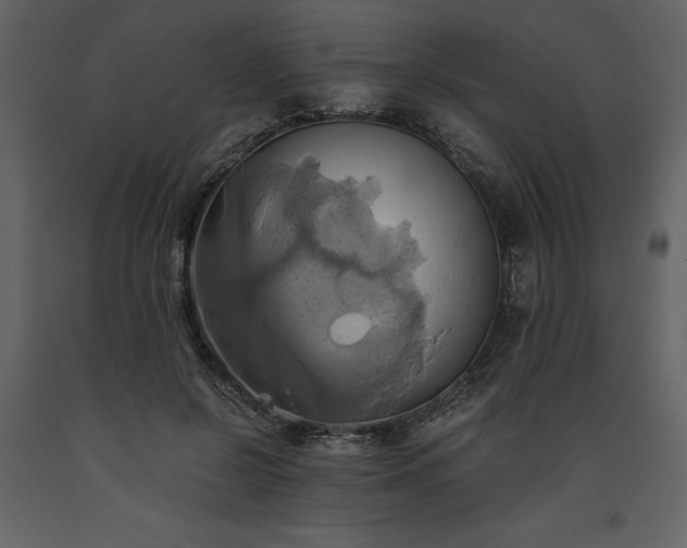 X0000093610550200710221609