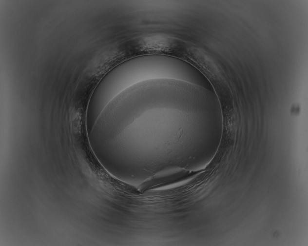 X0000093610551200710221609
