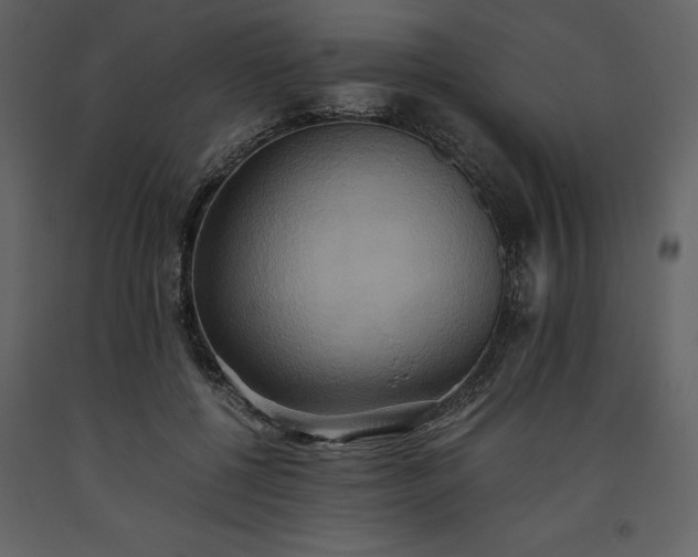 X0000093610552200710221609