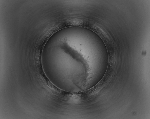 X0000093610553200710221609