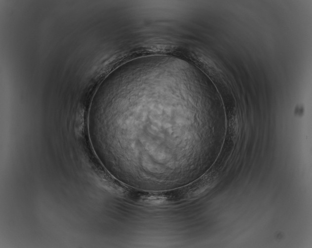 X0000093610554200710221609