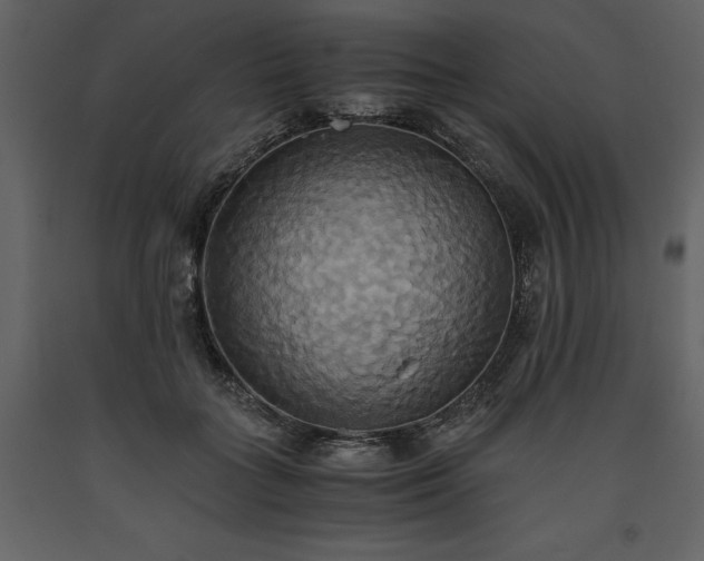 X0000093610555200710221609