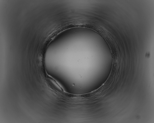 X0000093610556200710221609