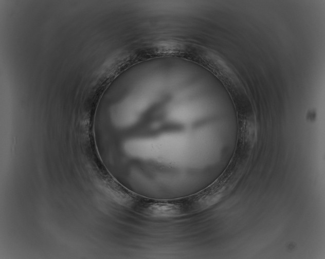 X0000093610557200710221609