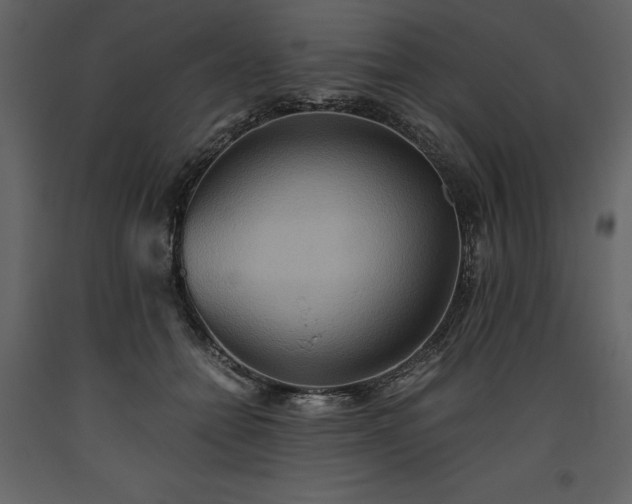 X0000093610558200710221609