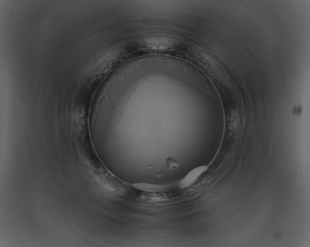 X0000093610559200710221609