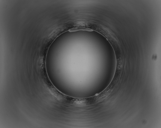 X0000093610560200710221609