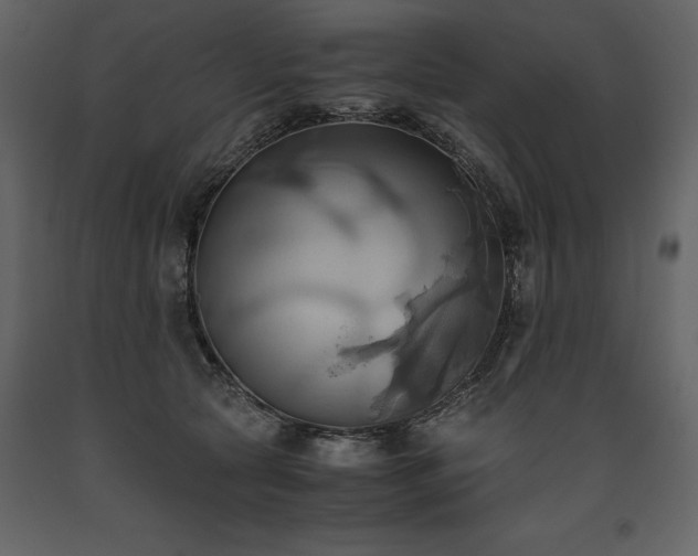 X0000093610561200710221609