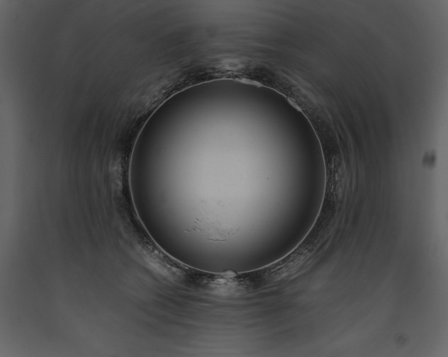X0000093610562200710221609