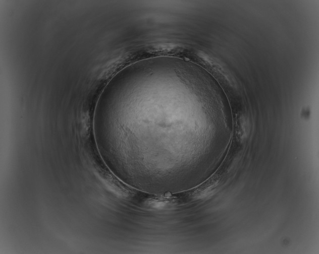 X0000093610563200710221609