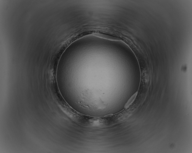 X0000093610564200710221609