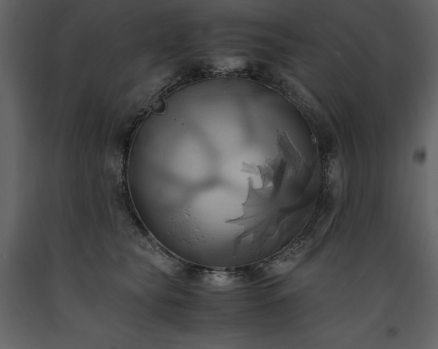 X0000093610565200710221609