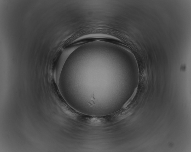 X0000093610566200710221609